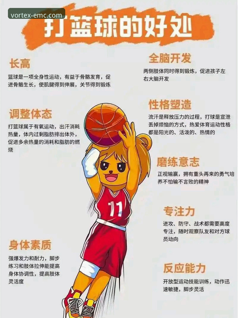 解析易倍体育官网的3大核心优势与2个关键操作指南